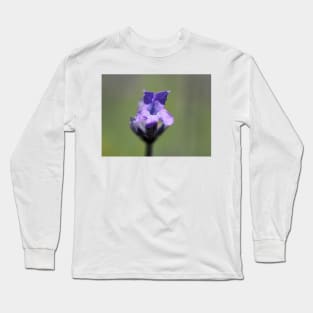 Lavender flower close-up Long Sleeve T-Shirt